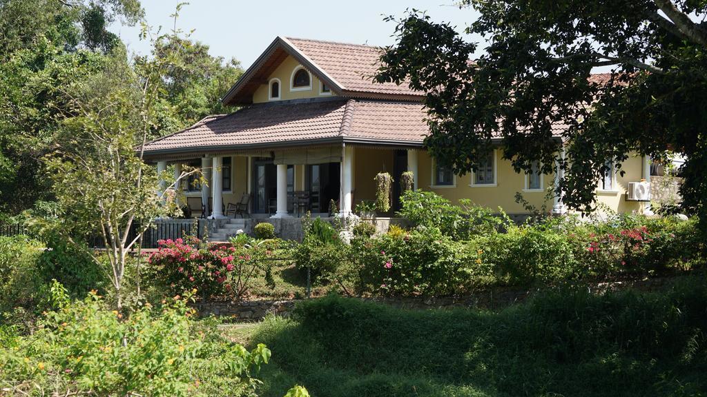דיגאנה Villa Tee Four מראה חיצוני תמונה